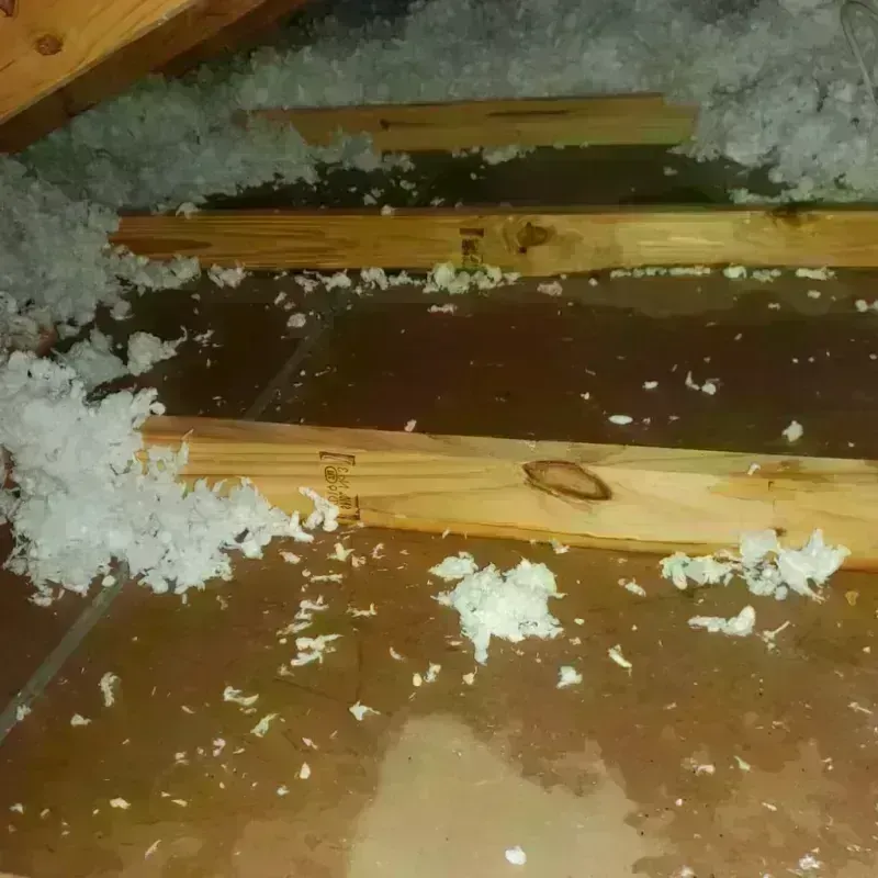 Attic Water Damage in Evansville, IN