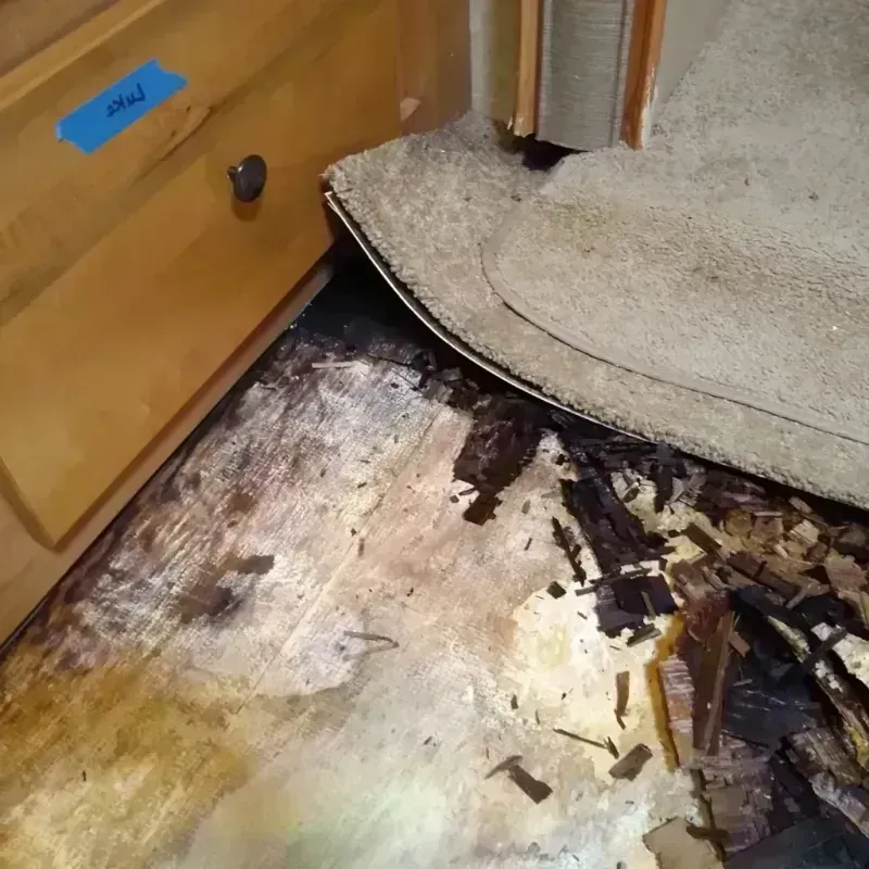 Wood Floor Water Damage in Evansville, IN